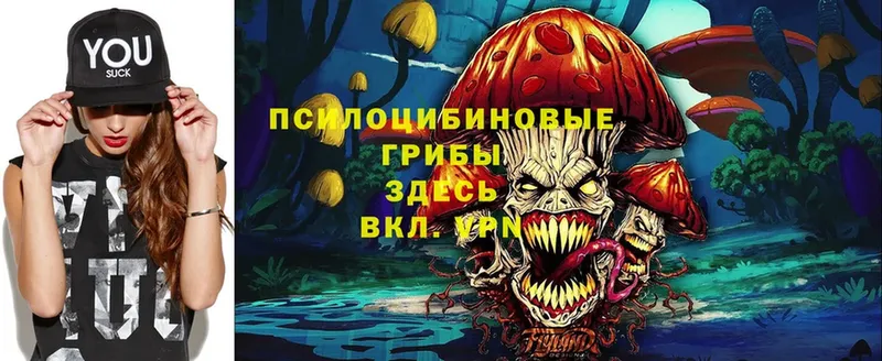 Галлюциногенные грибы Cubensis  Асбест 